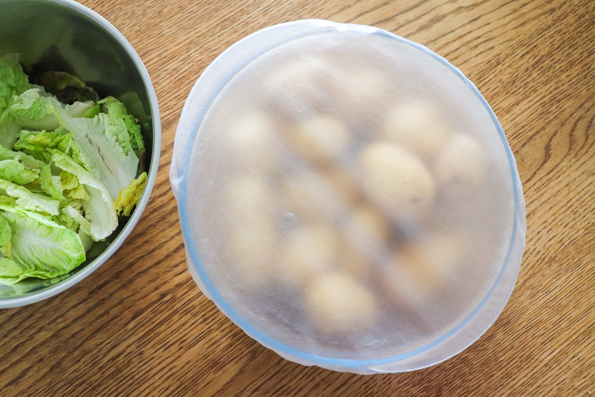 Charlottes alimentaires transparentes