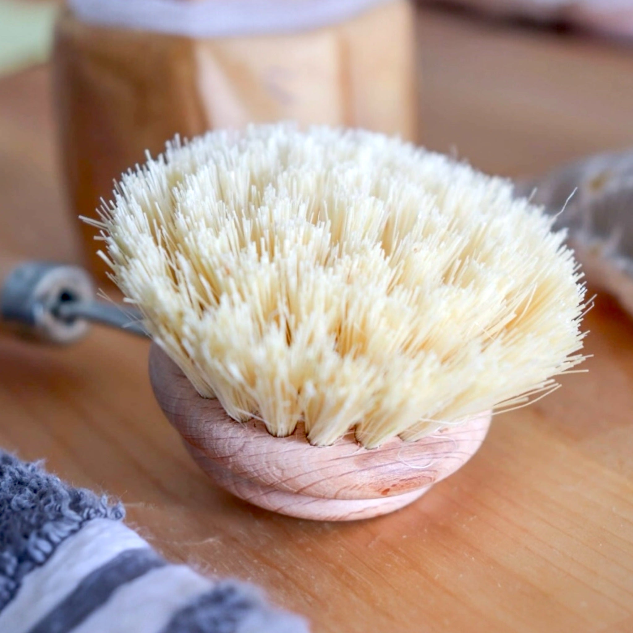 Brosse à vaisselle rechargeable - Zeste d'Évidence