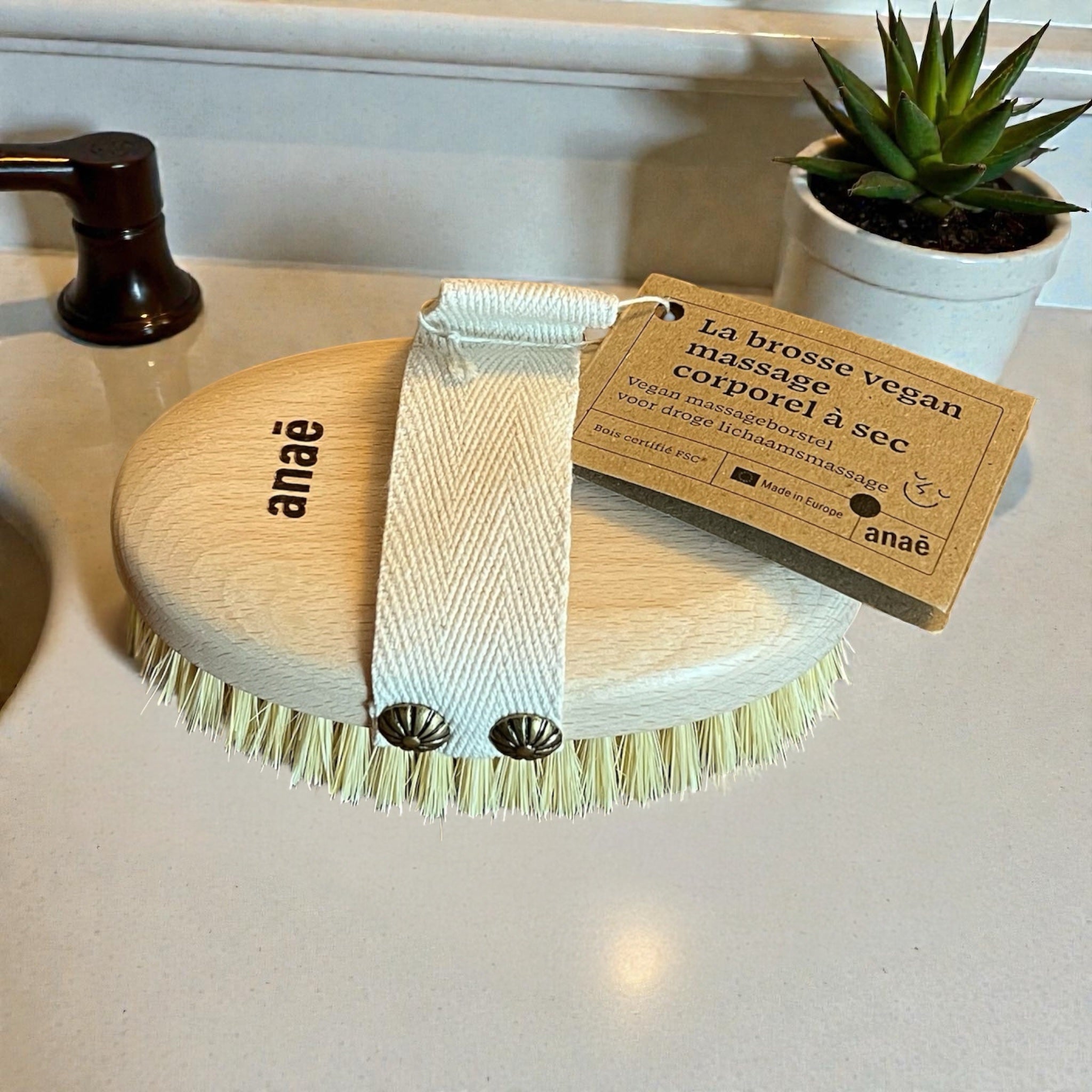 Brosse corporelle pour brossage à sec - Zeste d'Évidence