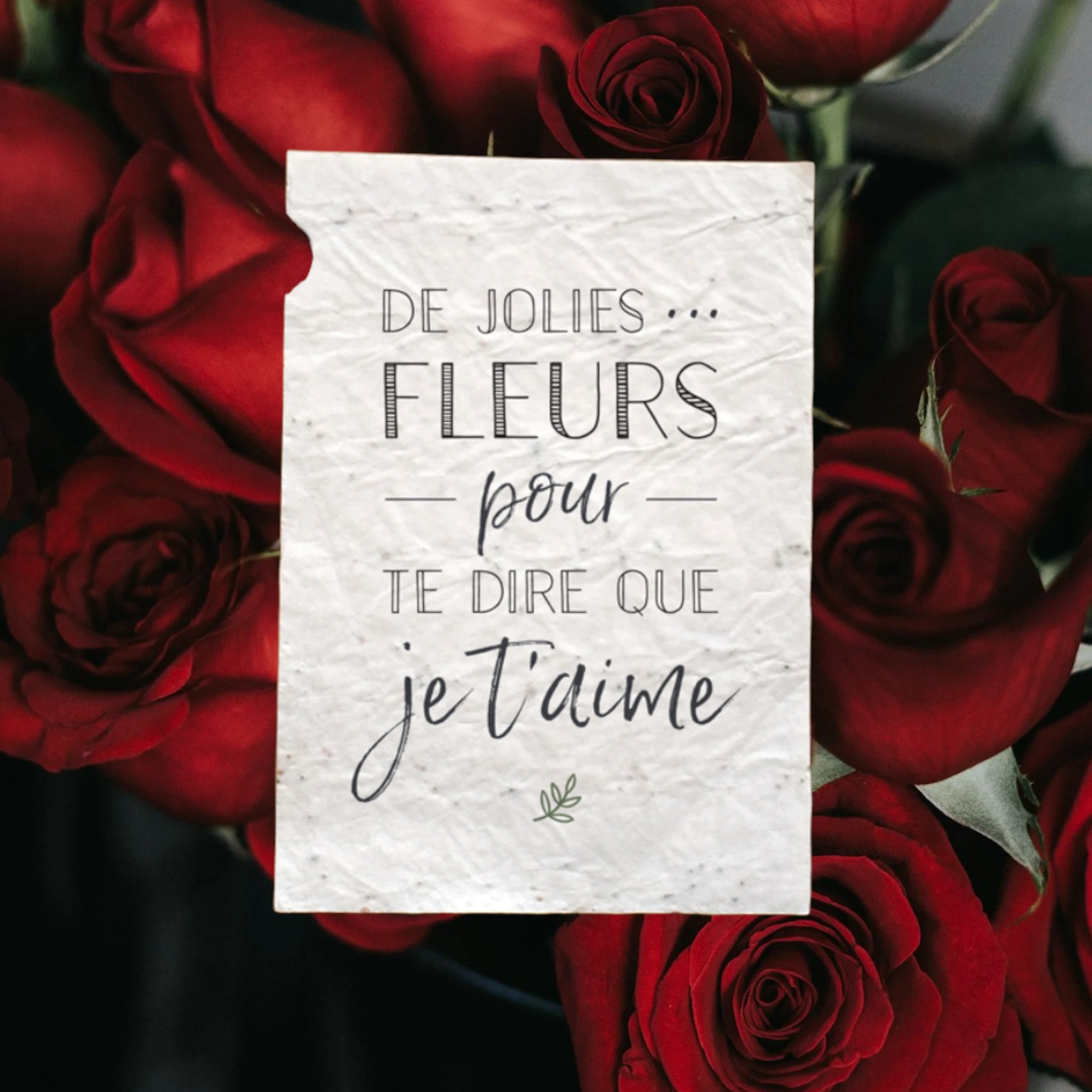 Carte à planter De Jolies Fleurs pour te dire que Je t'aime