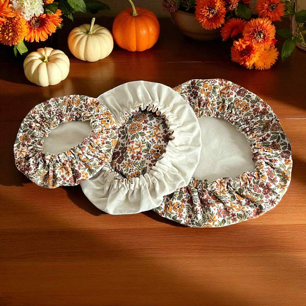 Charlottes alimentaires - Zeste d'Évidence