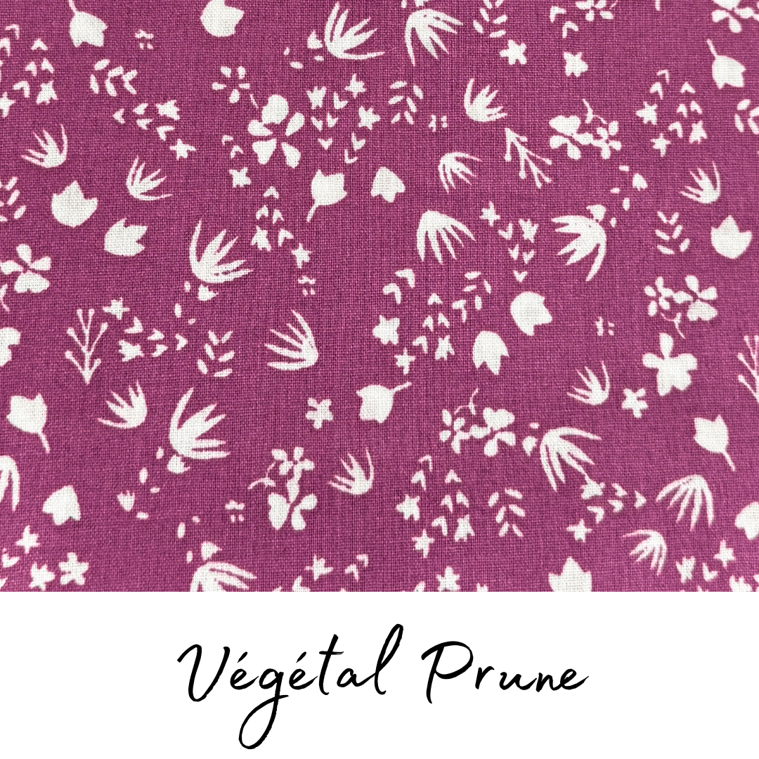 Charlottes alimentaires - Zeste d'Évidence