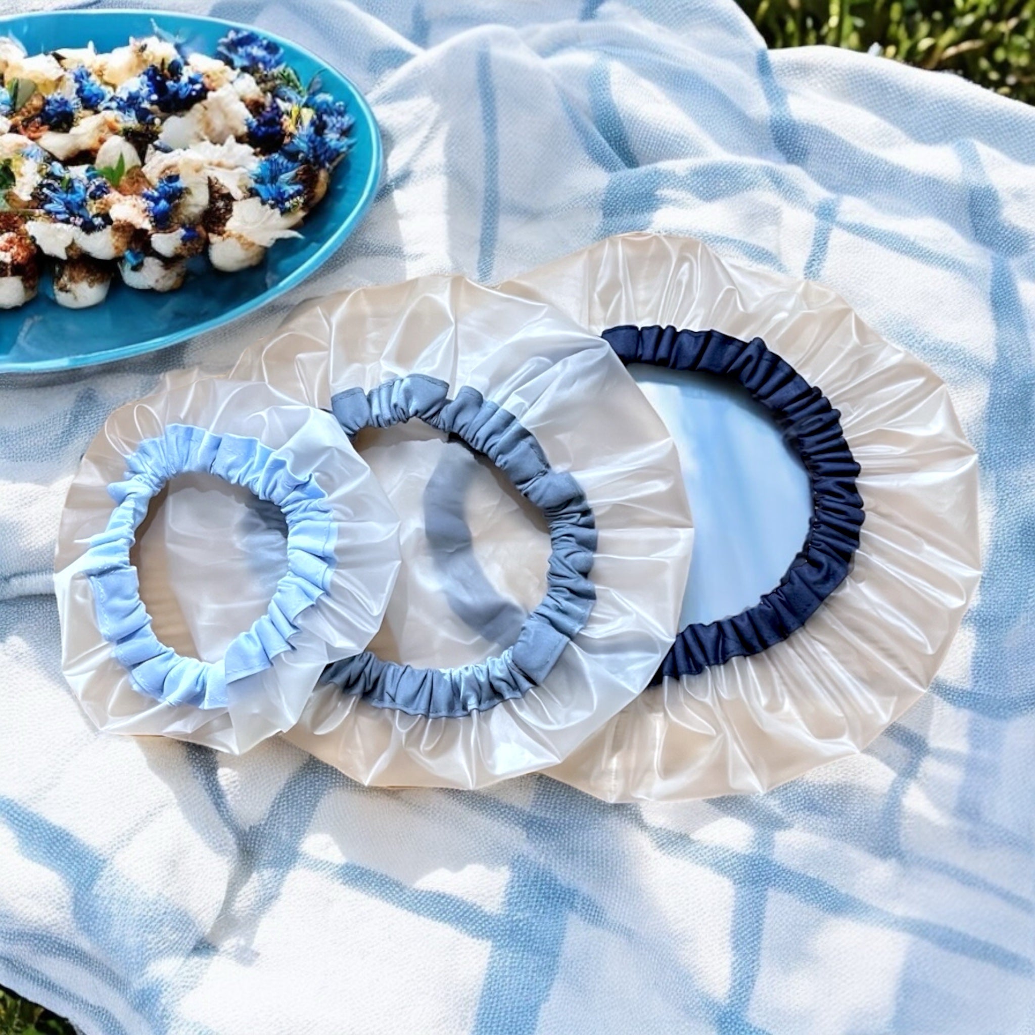 Charlottes alimentaires transparentes - Zeste d'Évidence