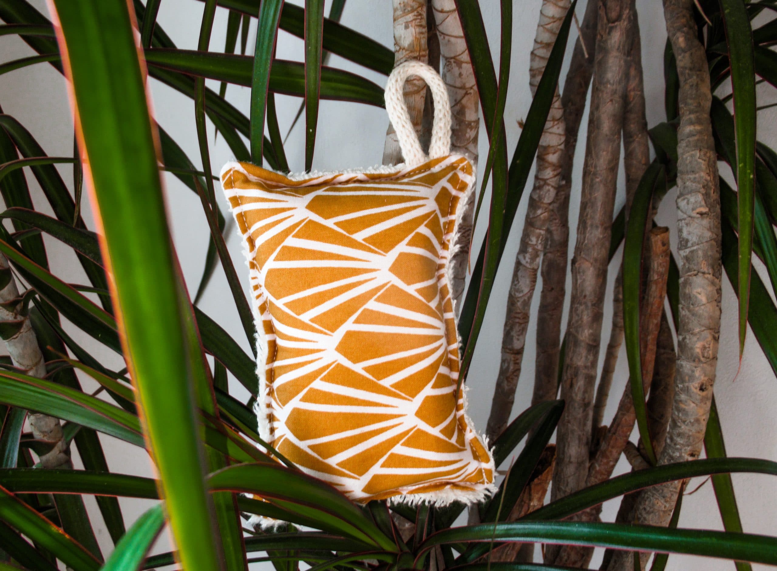 Éponge lavable - Zeste d'Évidence