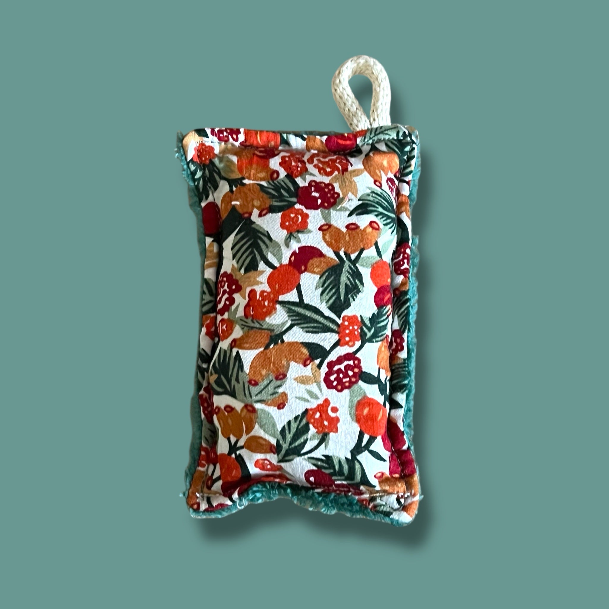 Éponge lavable - Zeste d'Évidence