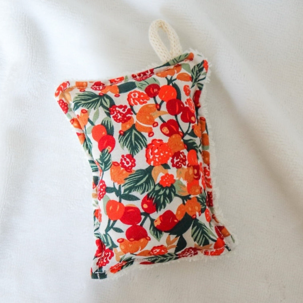 Éponge lavable - Zeste d'Évidence