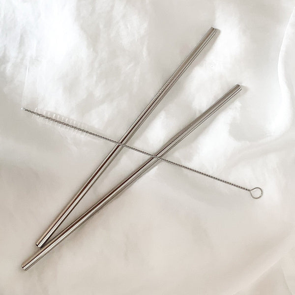 Lot de 2 pailles en inox droites - Zeste d'Évidence