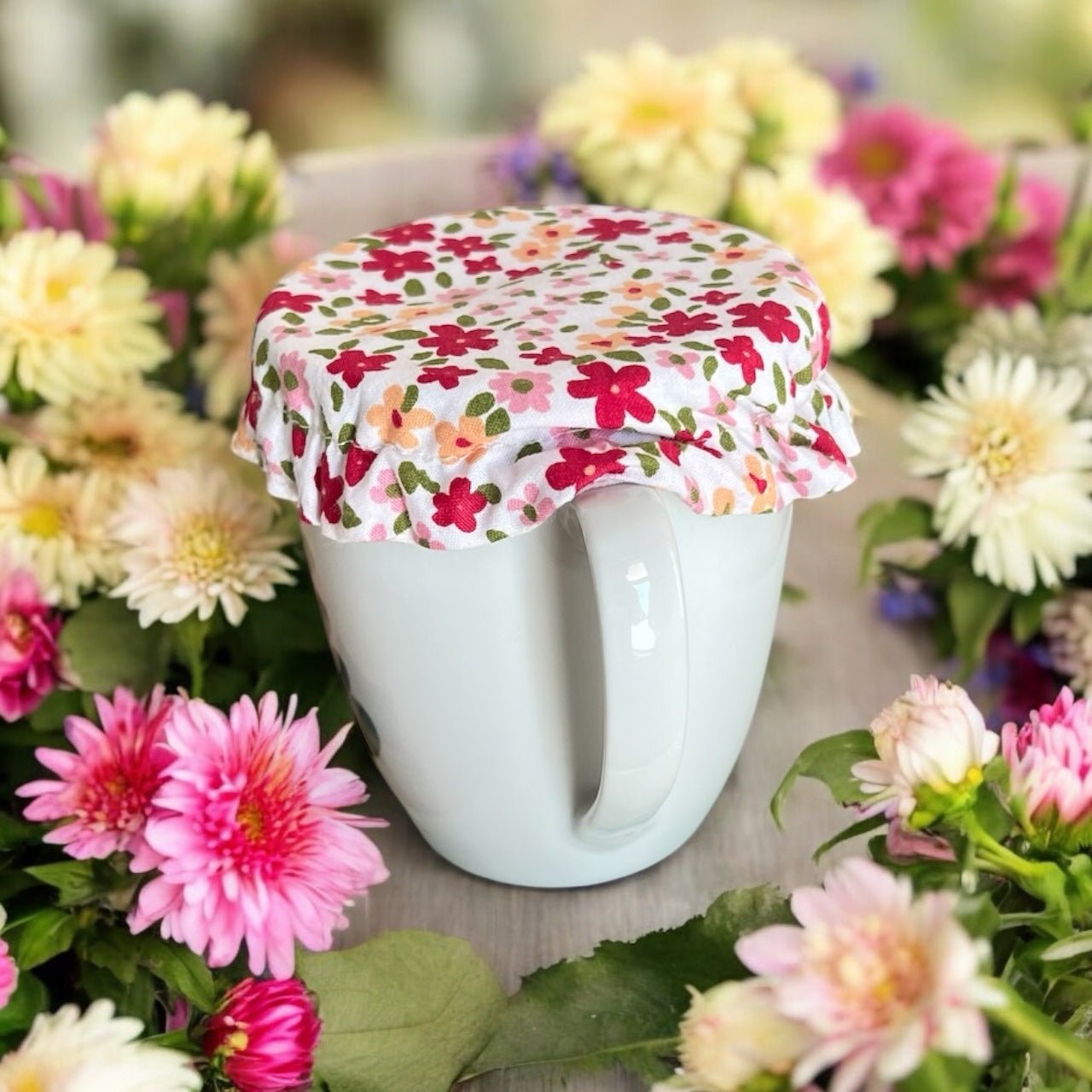 Lot de 6 Mini Charlottes Alimentaires - Zeste d'Évidence