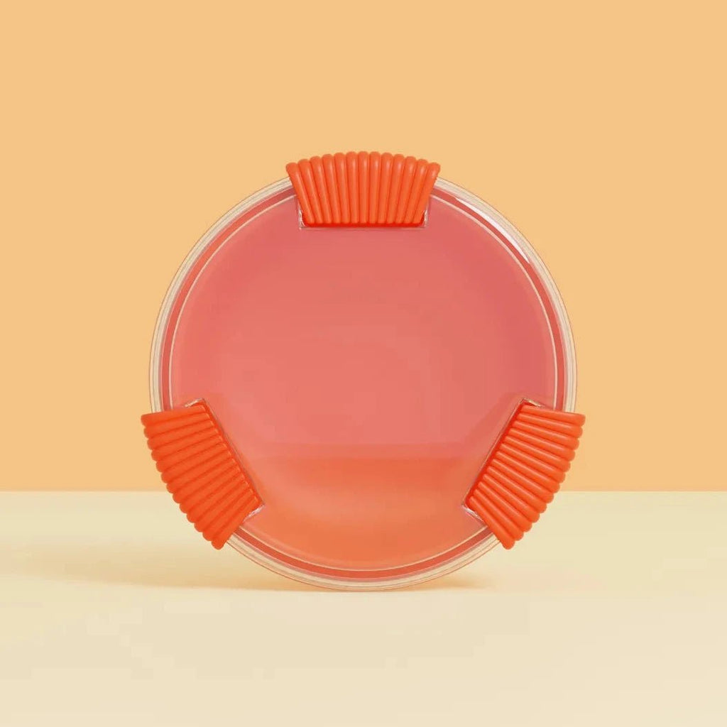 Lunchbox - Boîte à repas biosourcée - Bini - Zeste d'Évidence