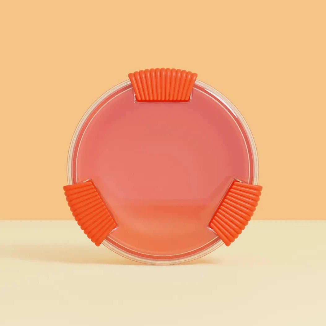 Lunchbox - Boîte à repas biosourcée - Bini - Zeste d'Évidence