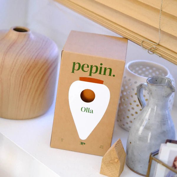 Olla - Arroseur autonome pour plantes (Précommande) - Zeste d'Évidence