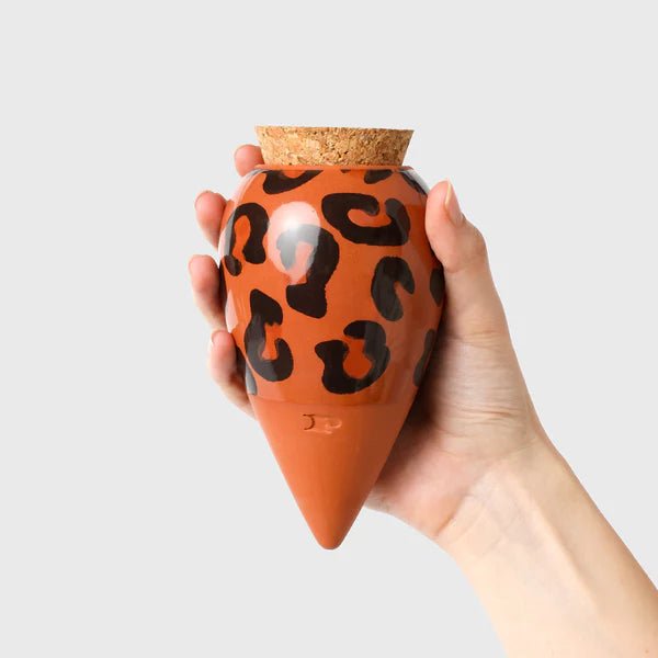 Olla - Arroseur autonome pour plantes (Précommande) - Zeste d'Évidence