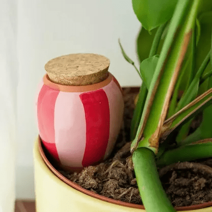Olla - Arroseur autonome pour plantes (Précommande) - Zeste d'Évidence