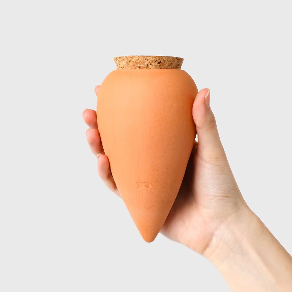 Olla - Arroseur autonome pour plantes (Précommande) - Zeste d'Évidence