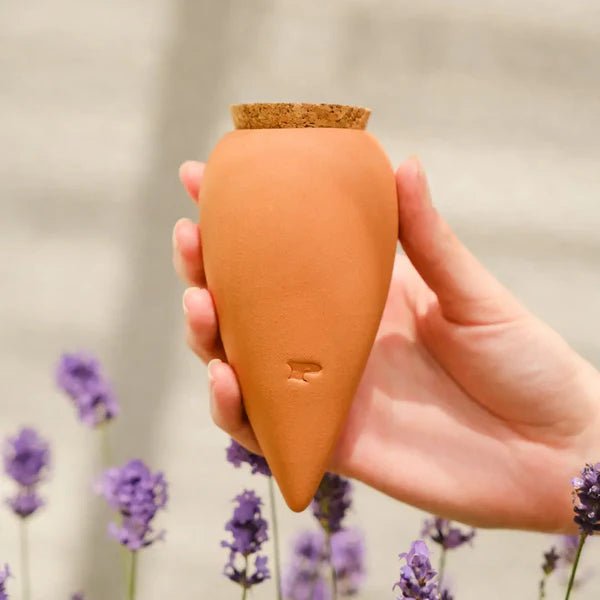 Olla - Arroseur autonome pour plantes (Précommande) - Zeste d'Évidence