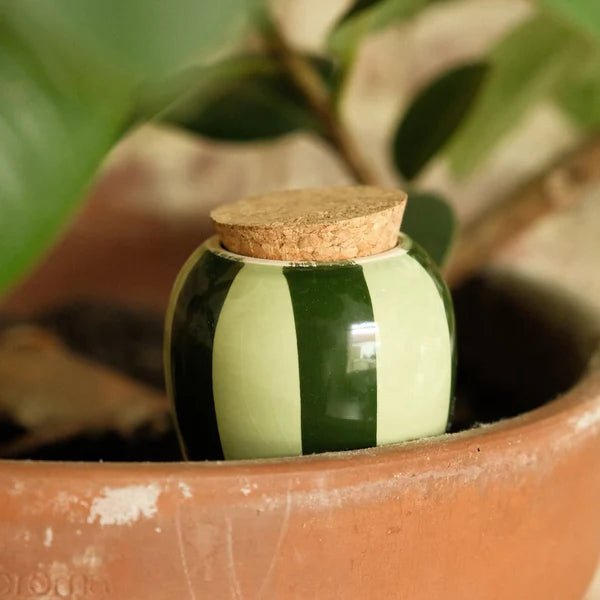 Olla - Arroseur autonome pour plantes (Précommande) - Zeste d'Évidence