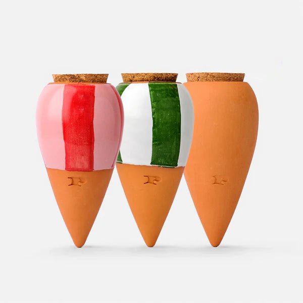 Olla - Arroseur autonome pour plantes (Précommande) - Zeste d'Évidence