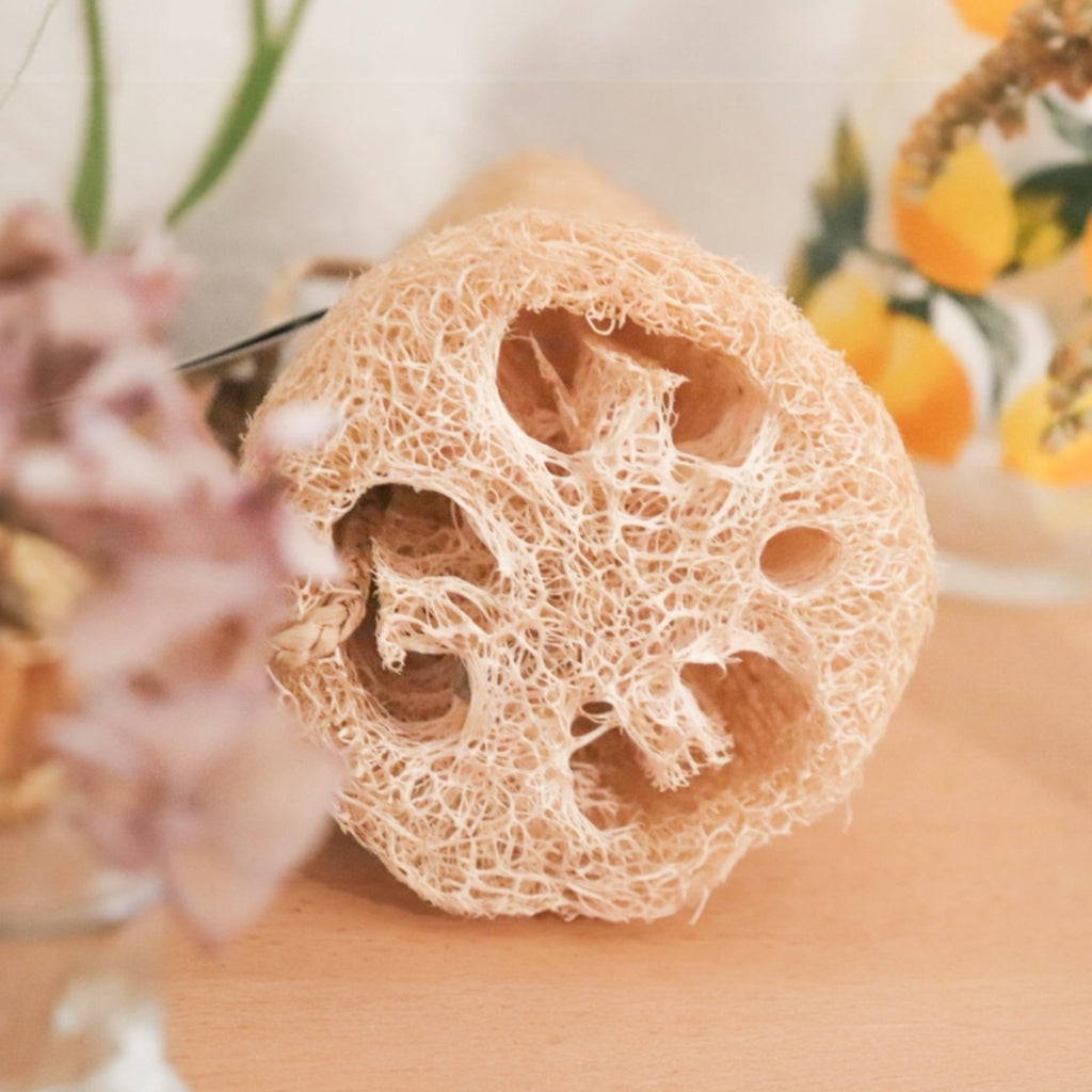 Éponge Loofah végétale