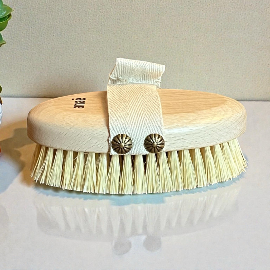 Brosse corporelle pour brossage à sec