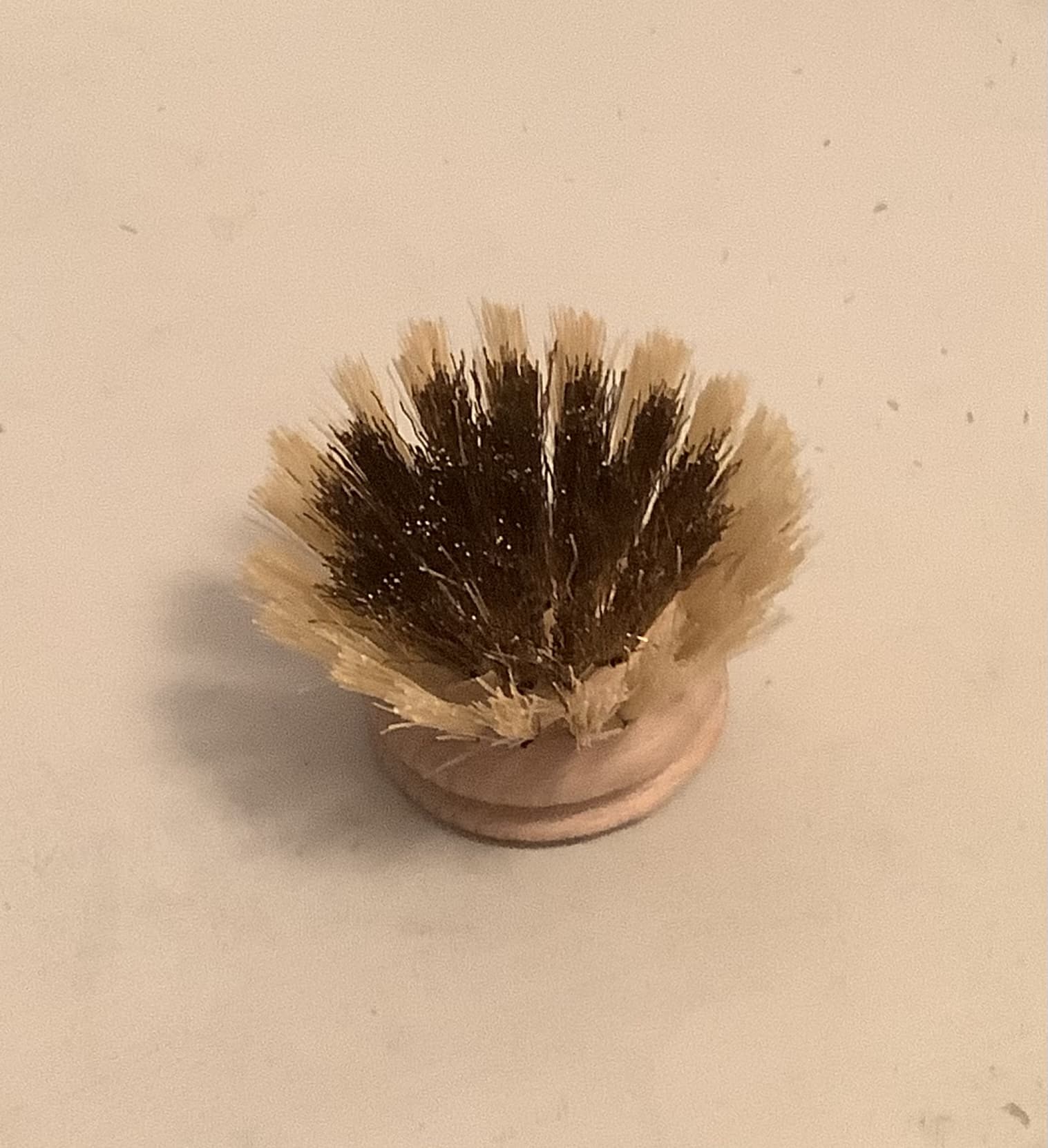 Recharge brosse à vaisselle - Zeste d'Évidence