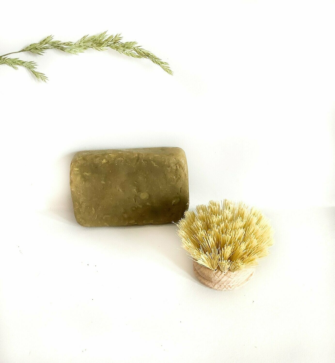 Recharge brosse à vaisselle - Zeste d'Évidence