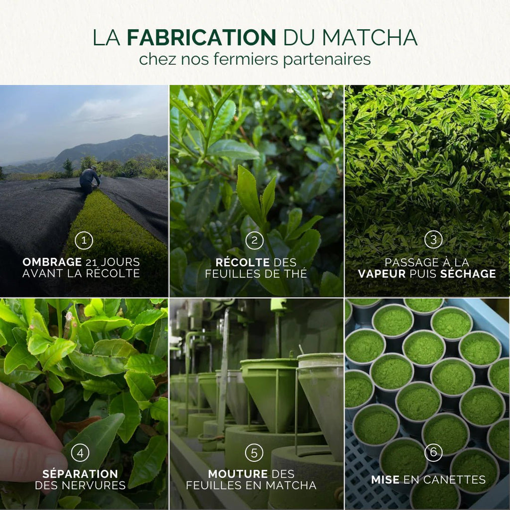 Thé Matcha Prestige au Yuzu Bio - Anatae - Zeste d'Évidence