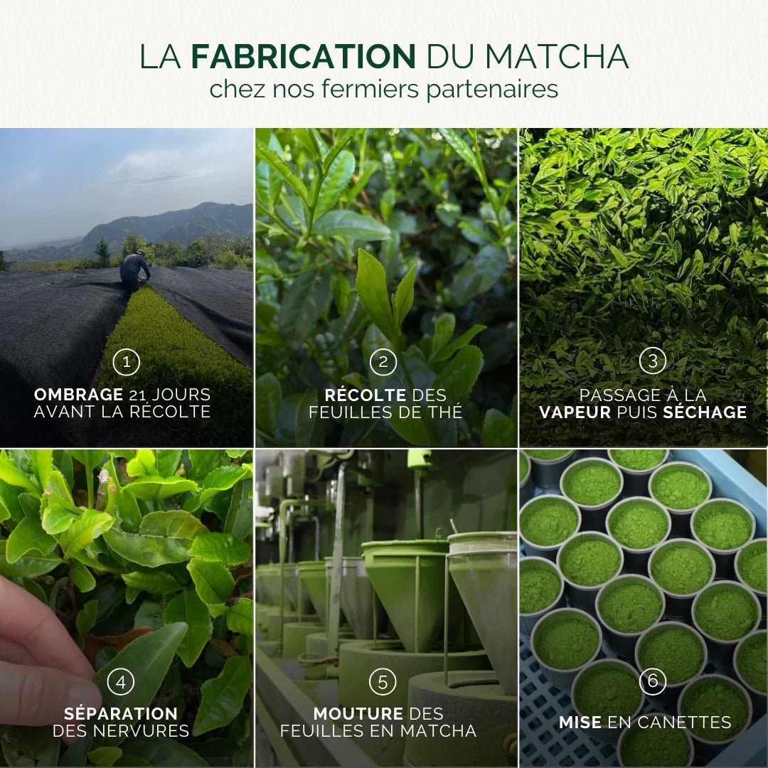 Thé Matcha Prestige au Yuzu Bio - Anatae - Zeste d'Évidence